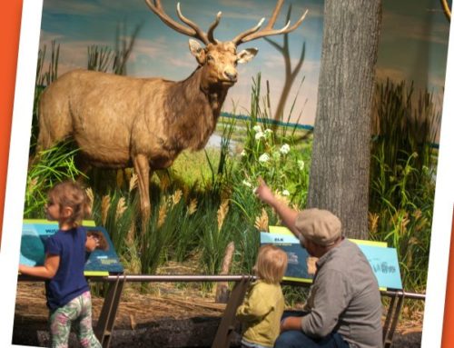 Indiana State Museum: Science at Play